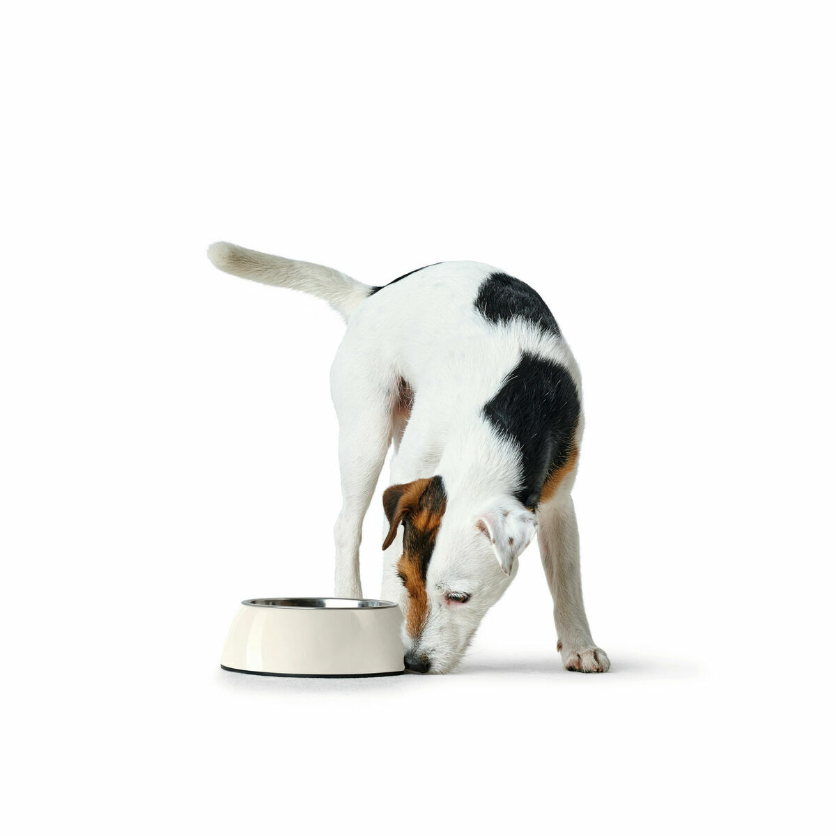 Hundmatare Hunter Vit Melamin 1,4 L (Renoverade A) - 2