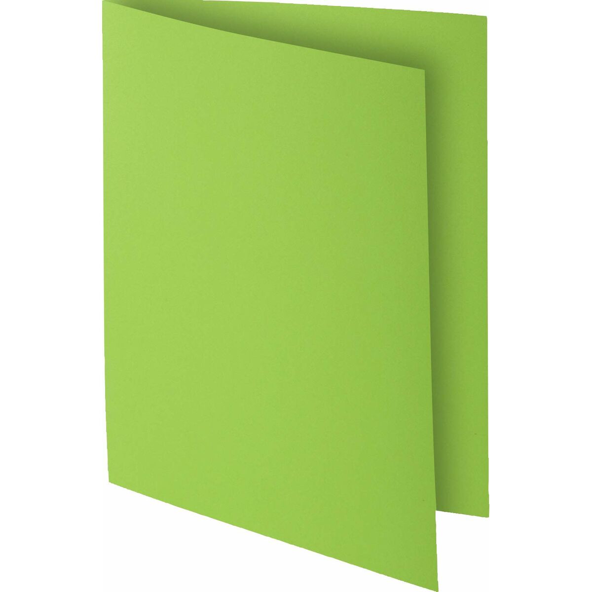Undermapp Exacompta Rock's Mint A4 100 Delar - 7