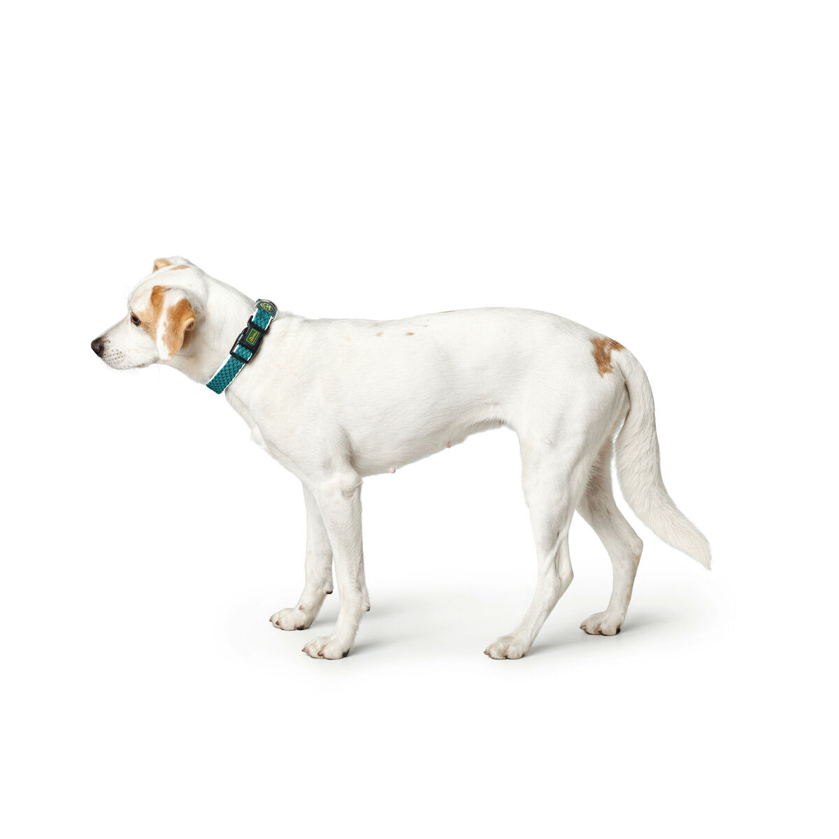 Hundhalsband Hunter Turkos 12 - 3