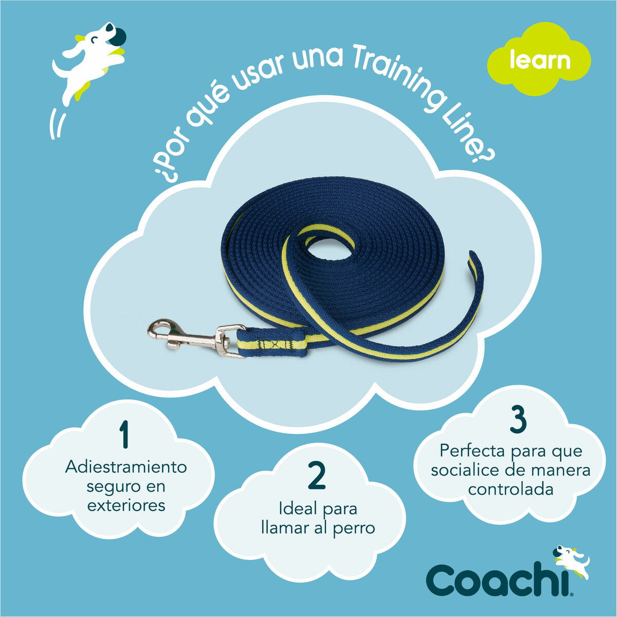 DoHundkoppel Coachi Blå Träning - 8