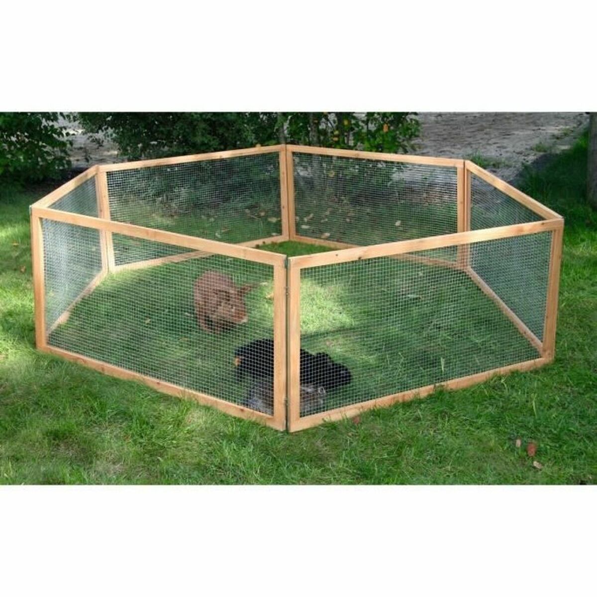 Bur Kerbl 120 x 59 cm Papp - 3