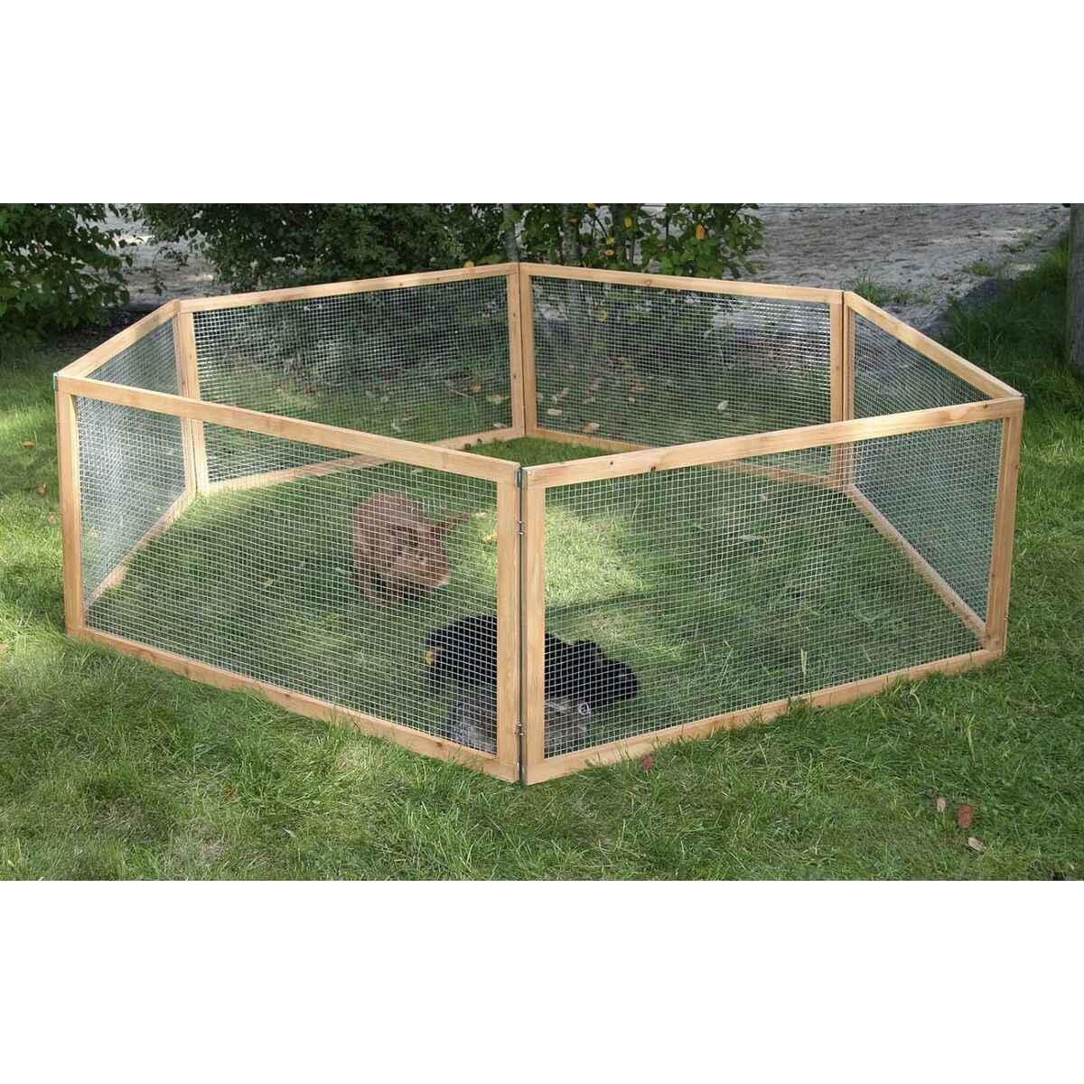 Bur Kerbl 120 x 59 cm Papp - 6