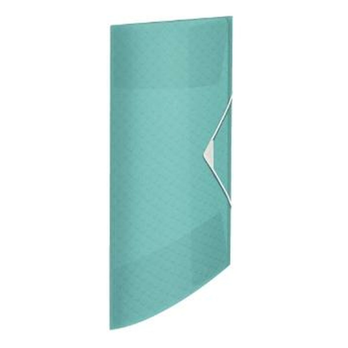 Folder Esselte Colour'ice A4 Blå 4 Delar - 2