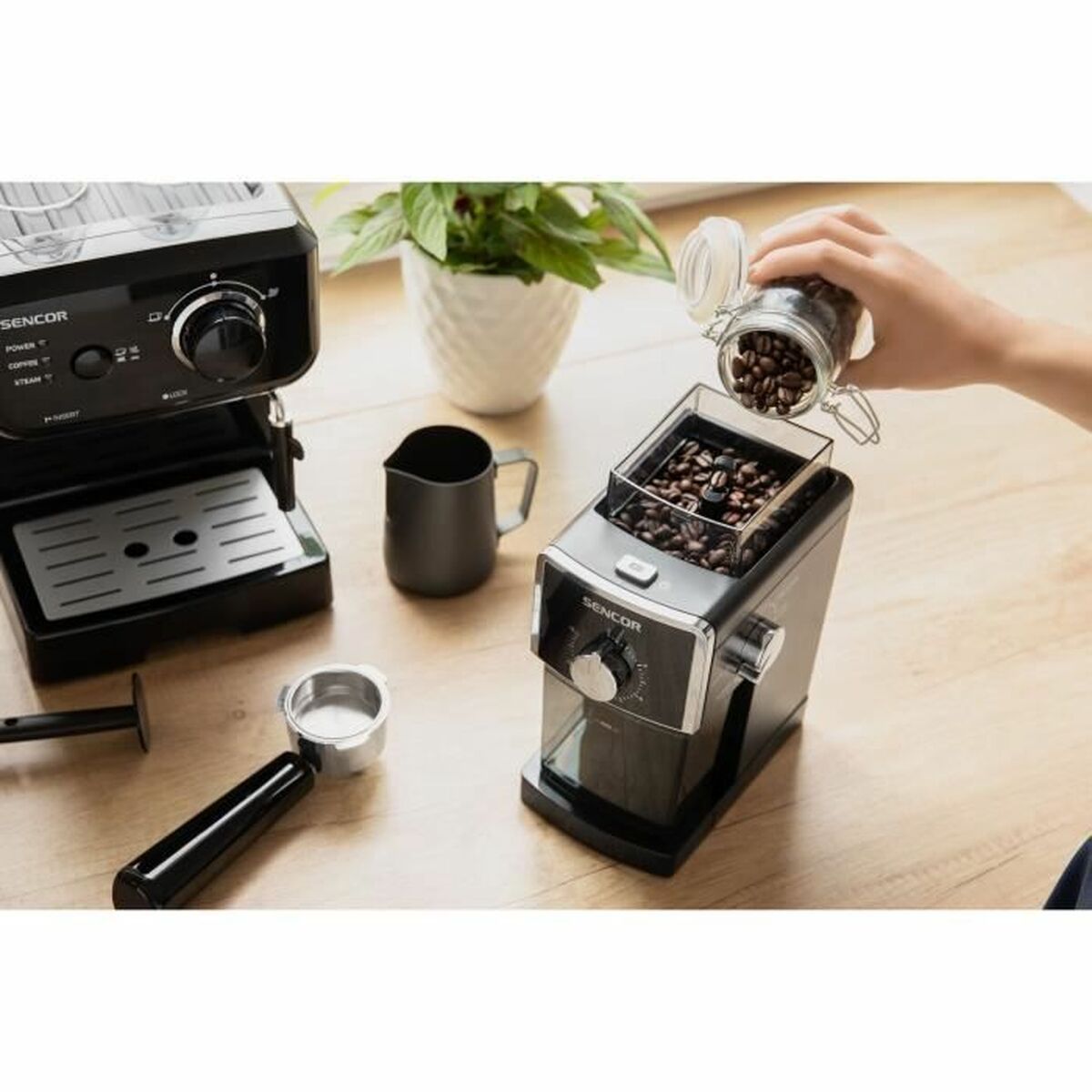 Kaffekvarn Sencor SCG 5050 BK Svart noir 110 W 180 g - 6