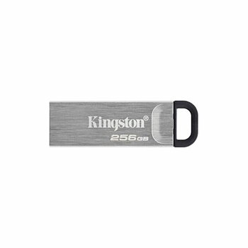 Minnessticka Kingston DTKN/256GB USB 3.2 Silvrig Svart 256 GB