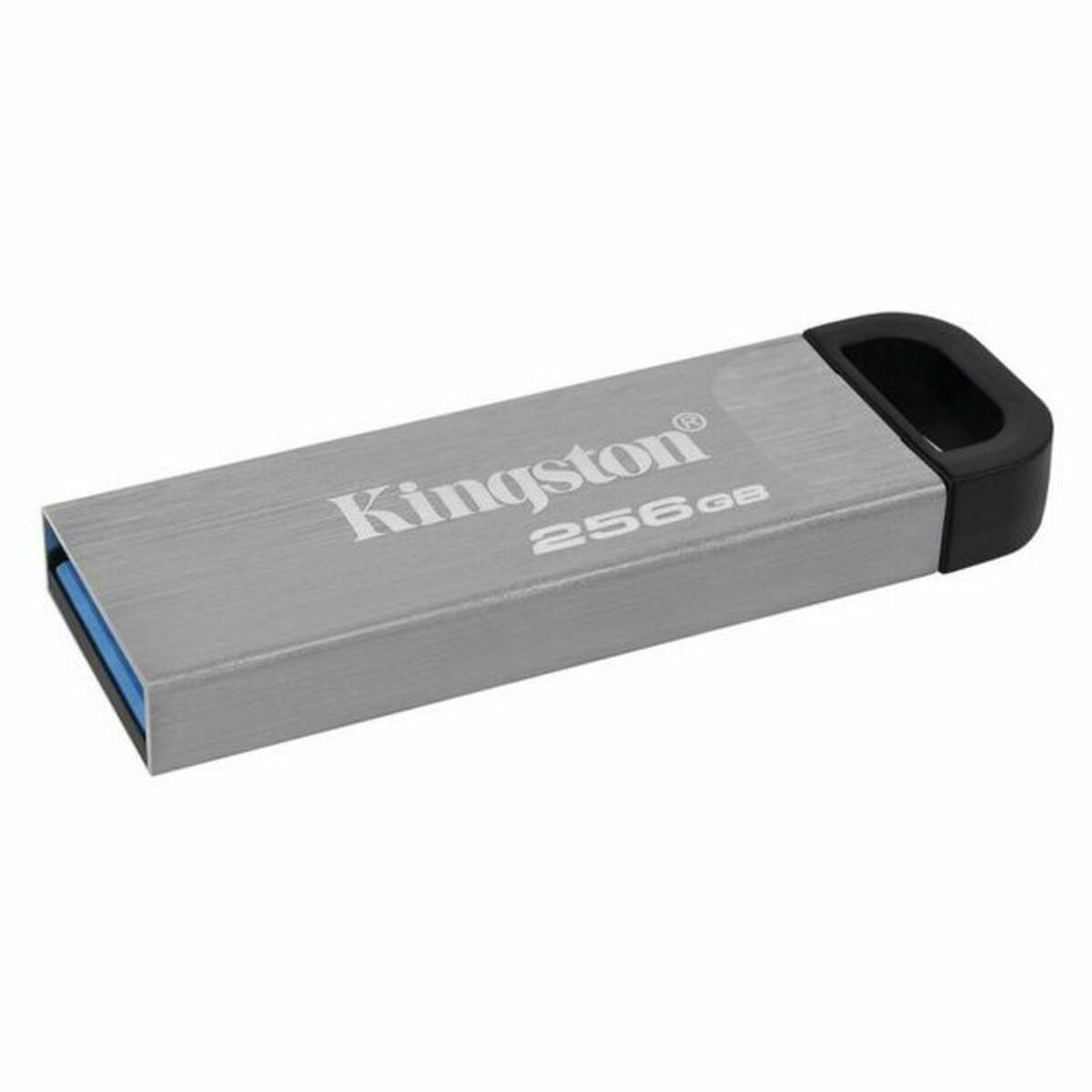 Minnessticka Kingston DTKN/256GB USB 3.2 Silvrig Svart 256 GB - 2