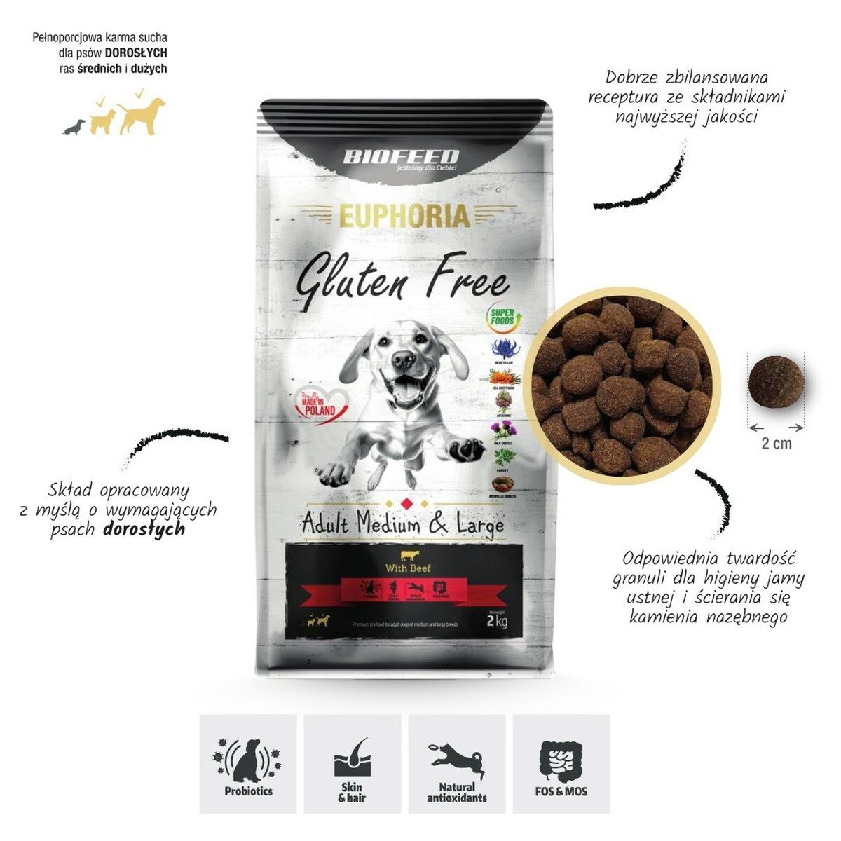 Foder Biofeed Adult Medium & Large Kalvkött 12 kg - 2