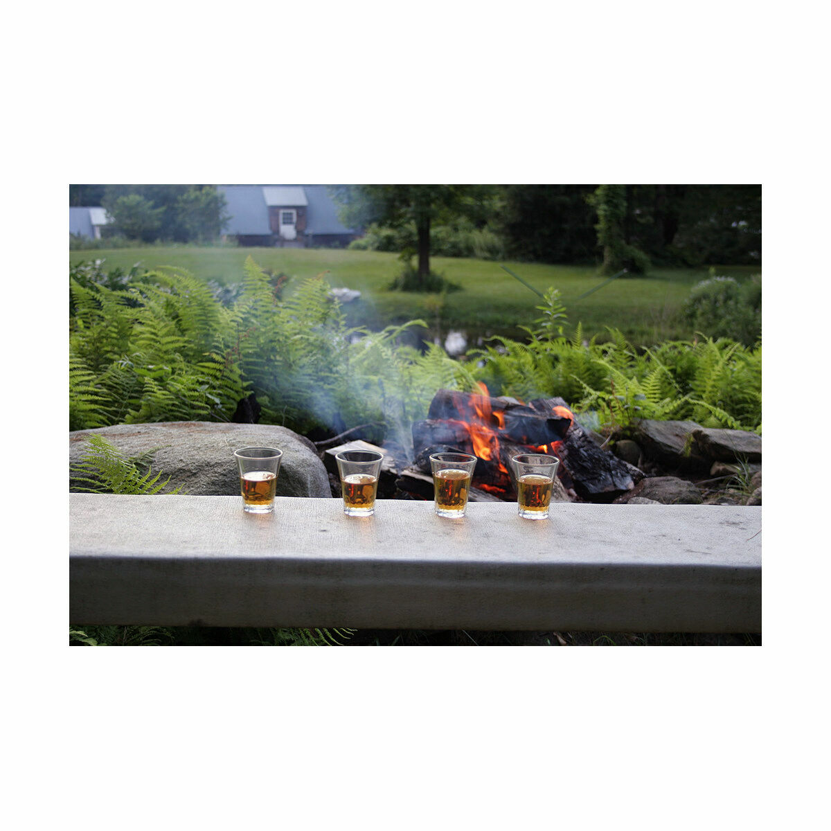 Glas Duralex 1003AC04/4 4 antal (130 ml) - 15