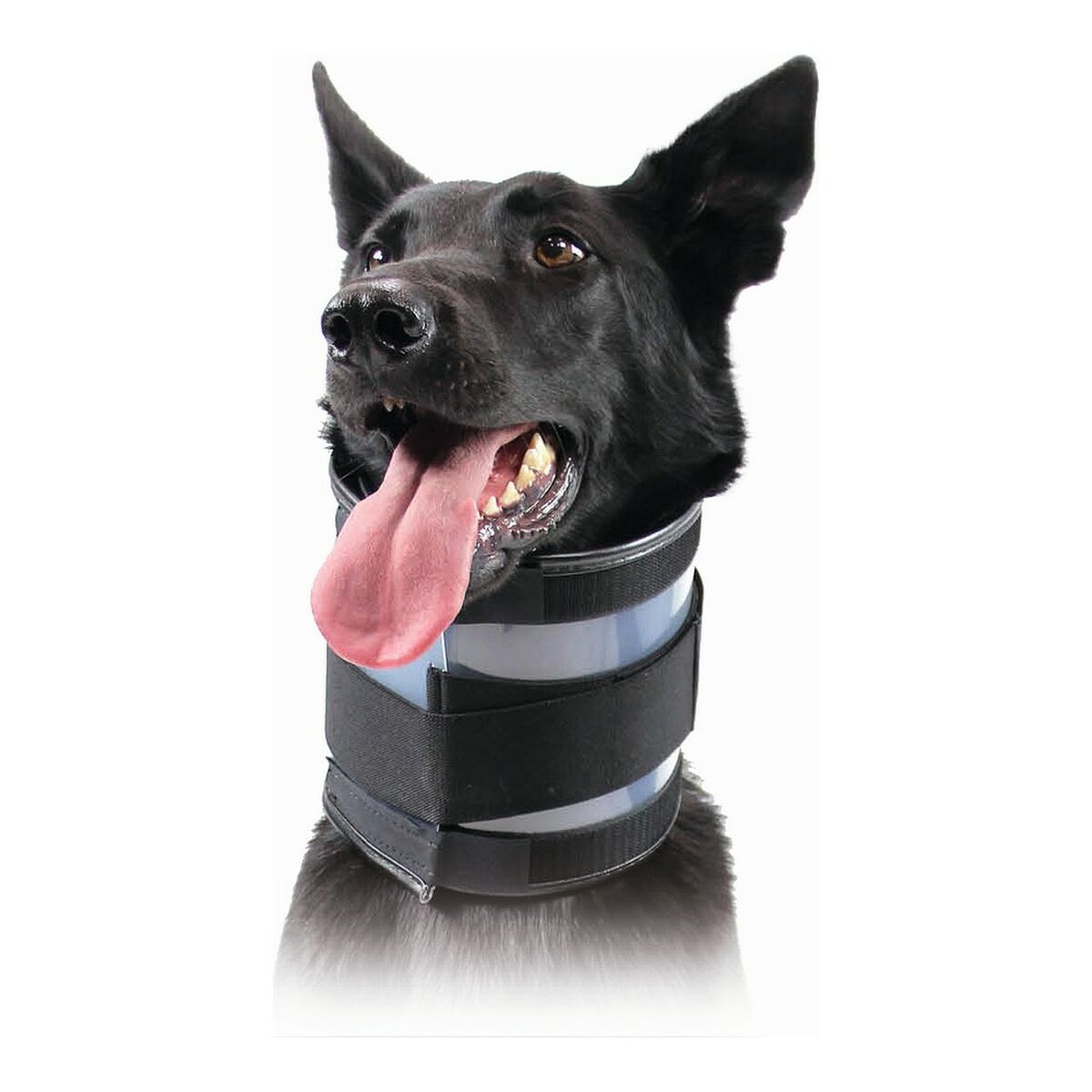 Cervikalhalsband för hundar KVP Svart (10-41 cm) - 3