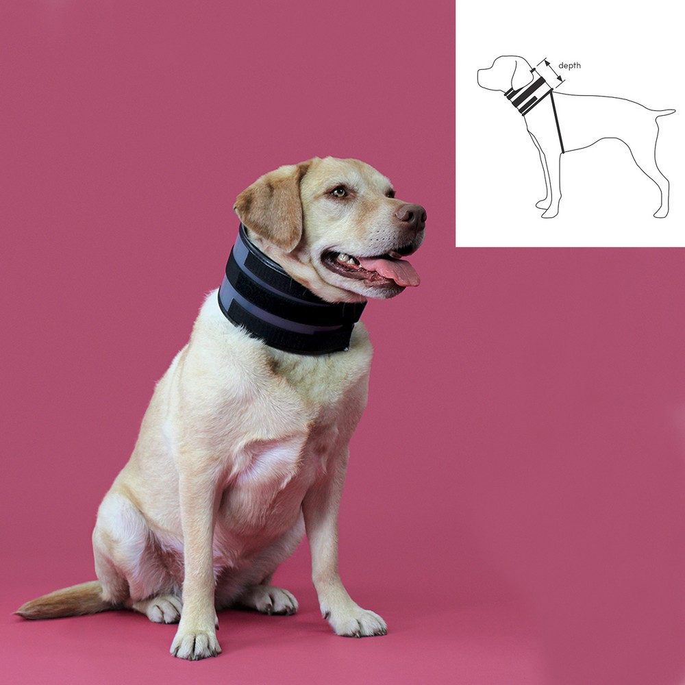 Cervikalhalsband för hundar KVP Svart (10-41 cm) - 2