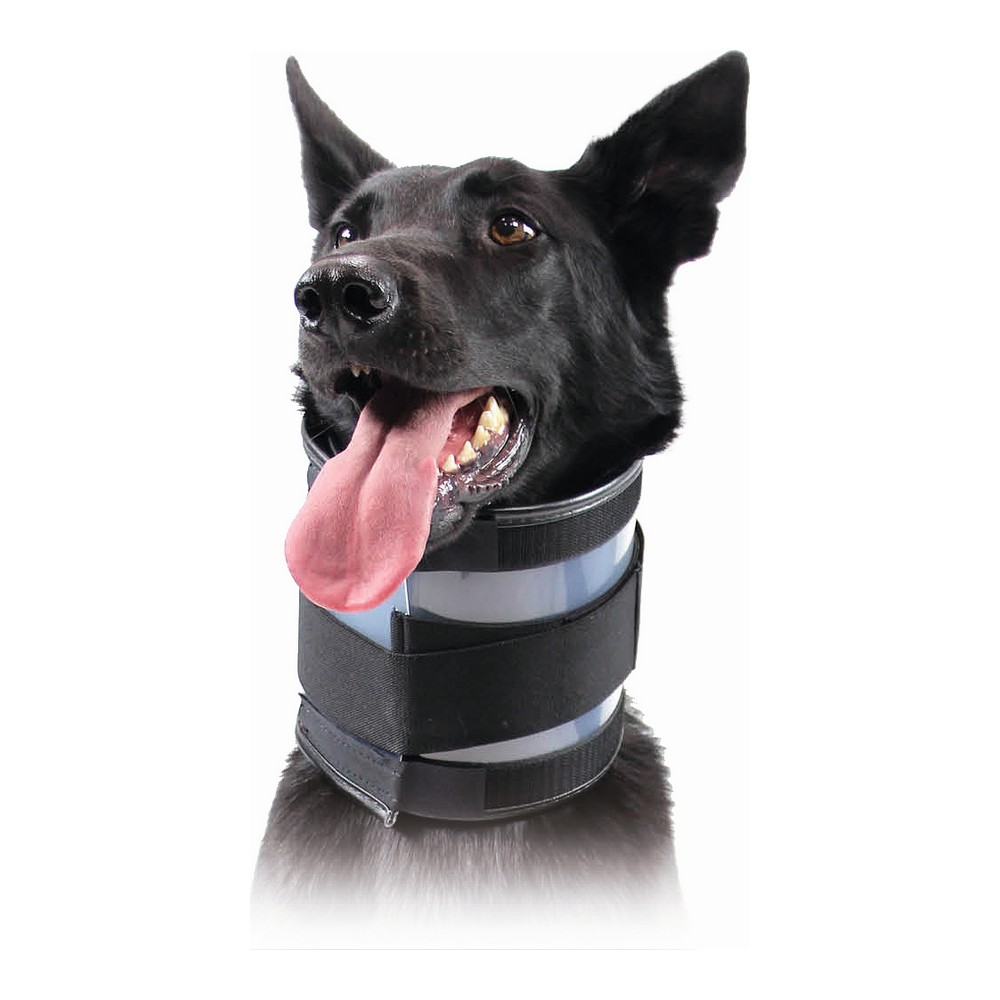 Cervikalhalsband för hundar KVP Svart (13-48 cm)