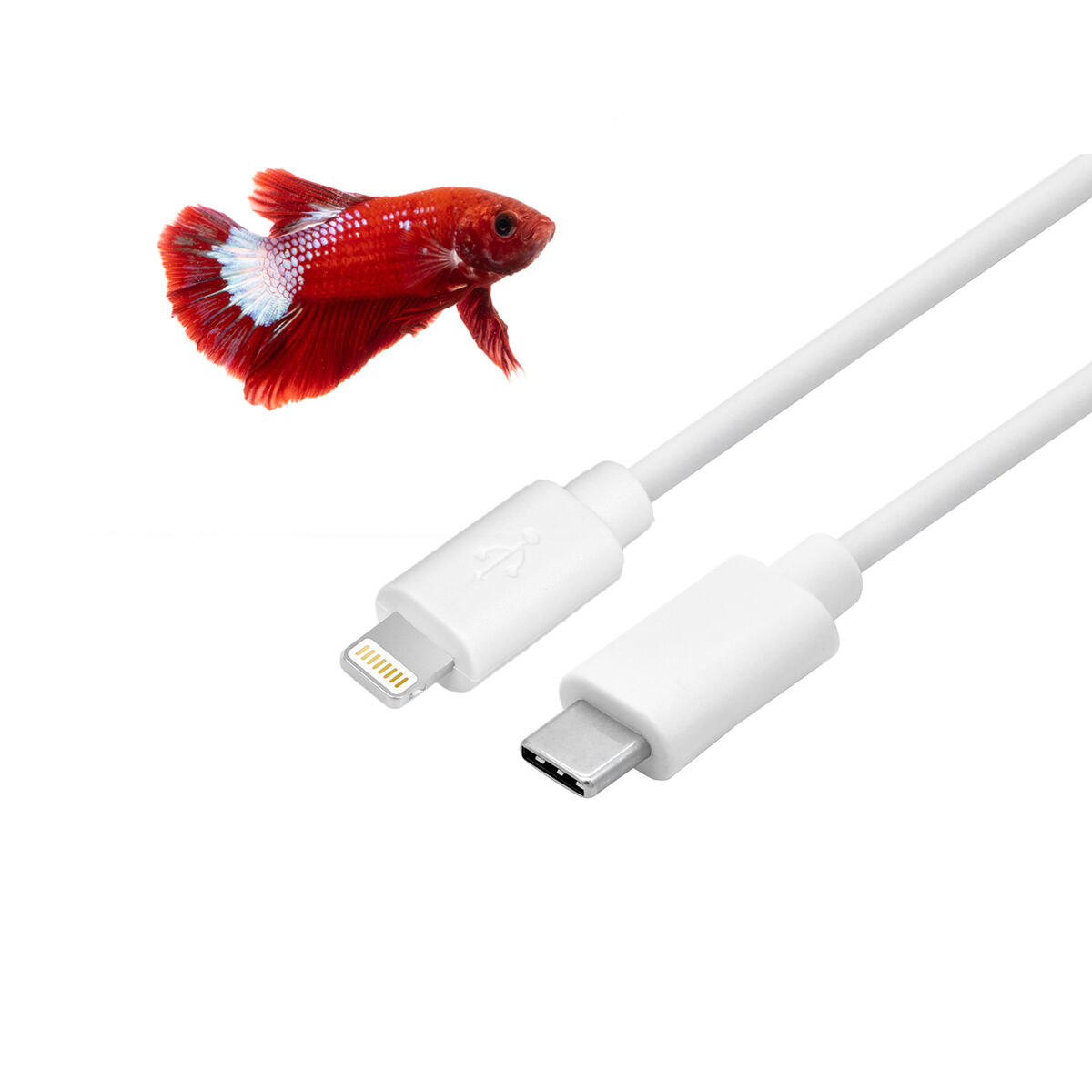 Kabel USB-C till Lightning CoolBox Vit 1 m - 2