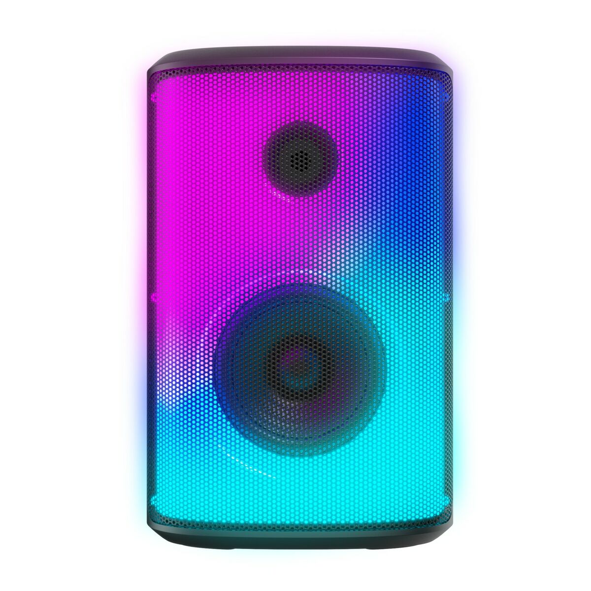Bärbar Bluetooth Högtalare Woxter Monster XL Svart 60 W