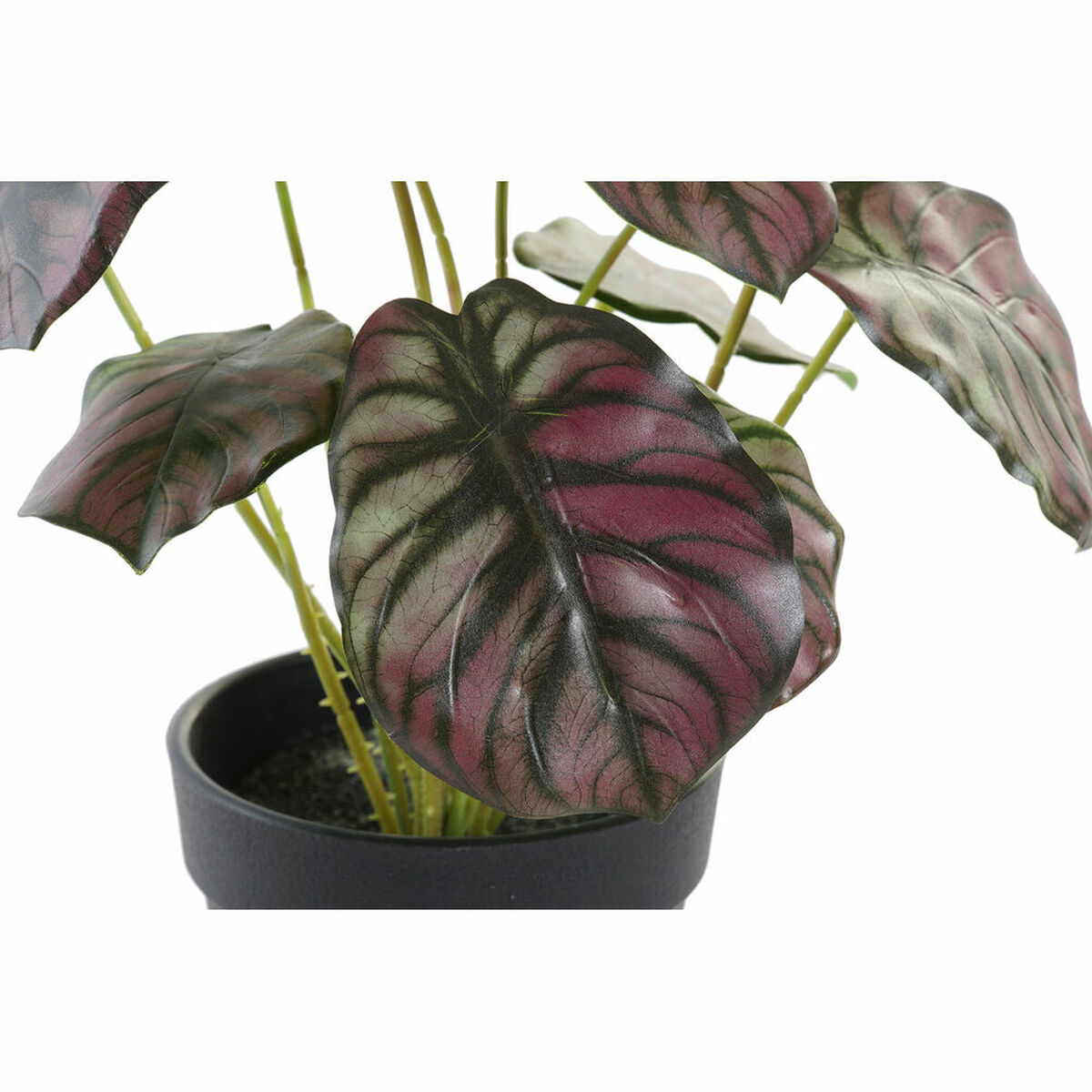 Dekorativ växt DKD Home Decor Rosa Grön PE (10 x 10 x 27 cm) - 2