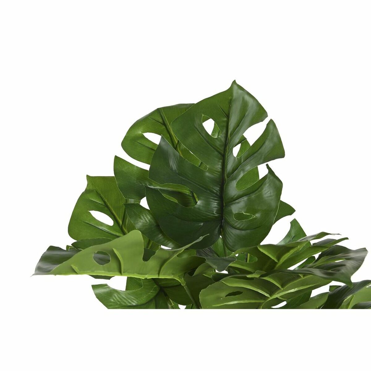 Dekorativ växt DKD Home Decor Monstera Grön PP PE (48 x 42 x 51 cm) - 2