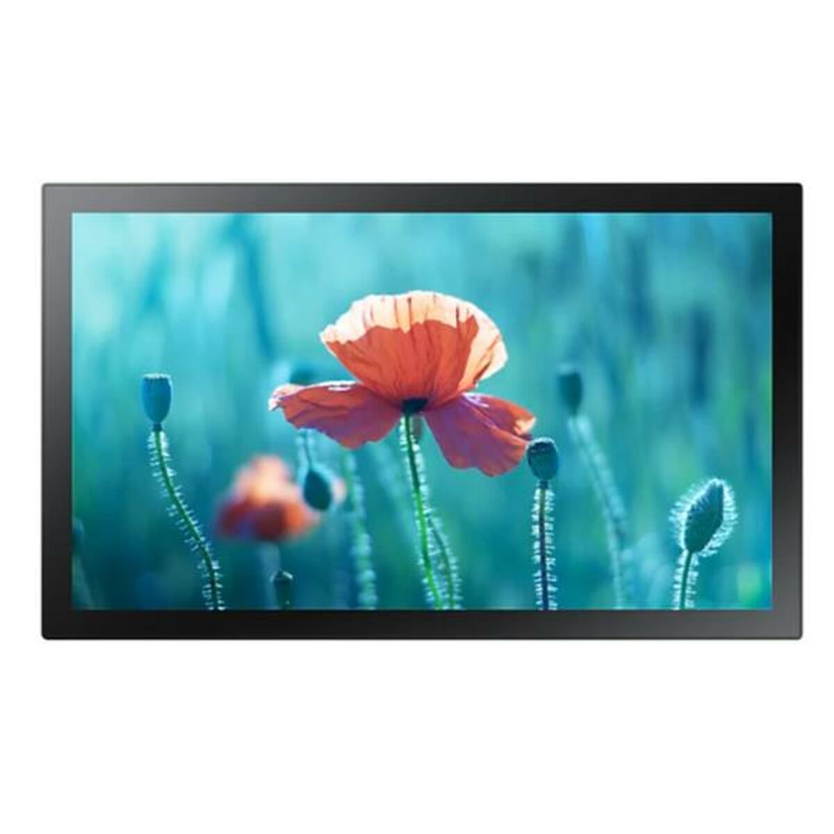 Monitor Samsung LH13QBRMBGCXEN Full HD 60 Hz - 3
