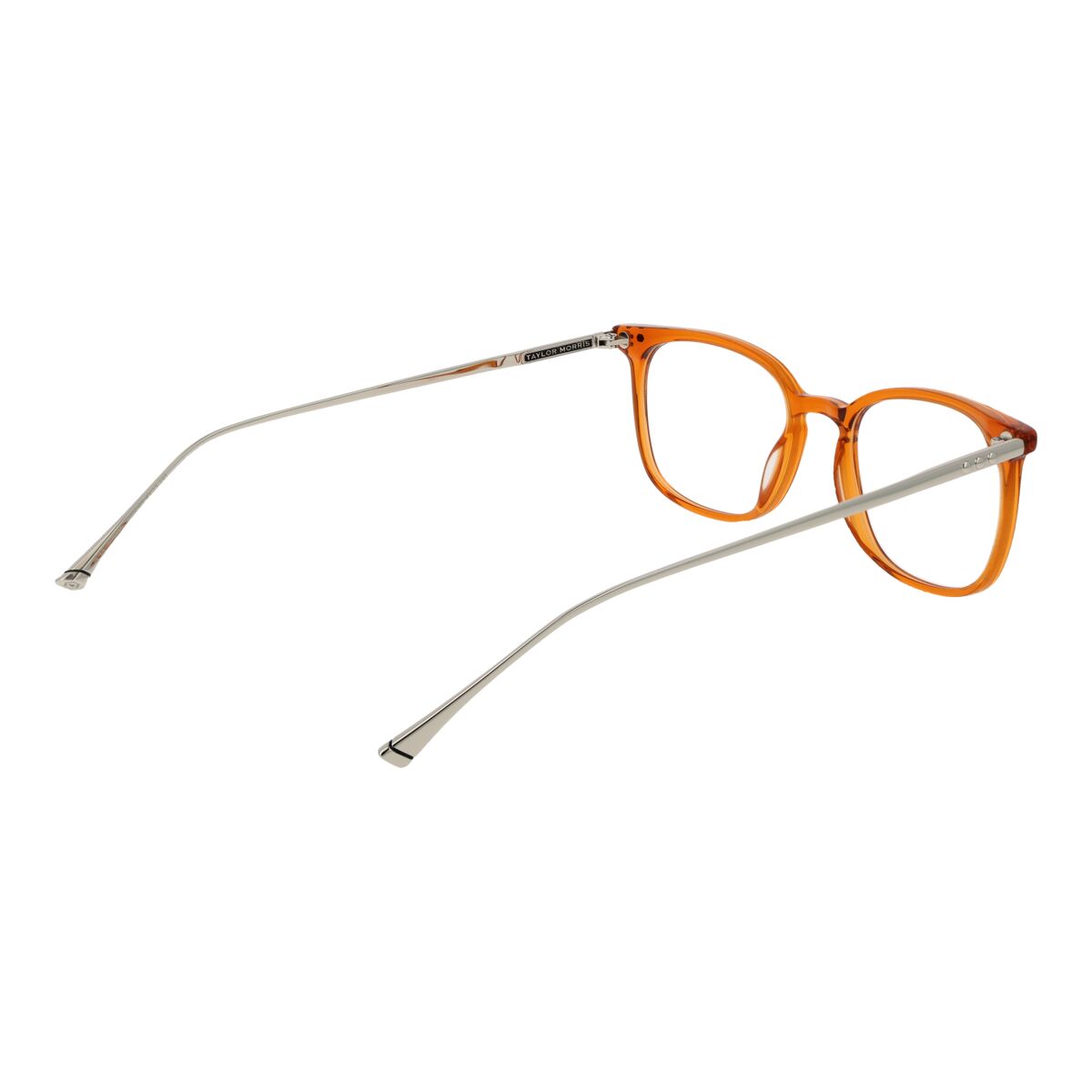 Glasögonbågar Taylor Morris TM06 49C3 - 3