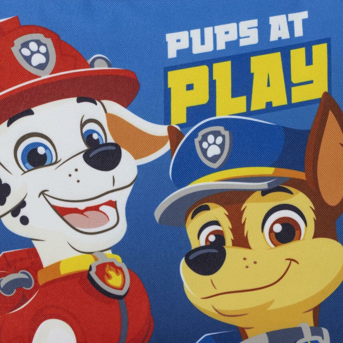 Lunchlåda The Paw Patrol Blå 22,0 x 20,0 x 7,0 cm - 5