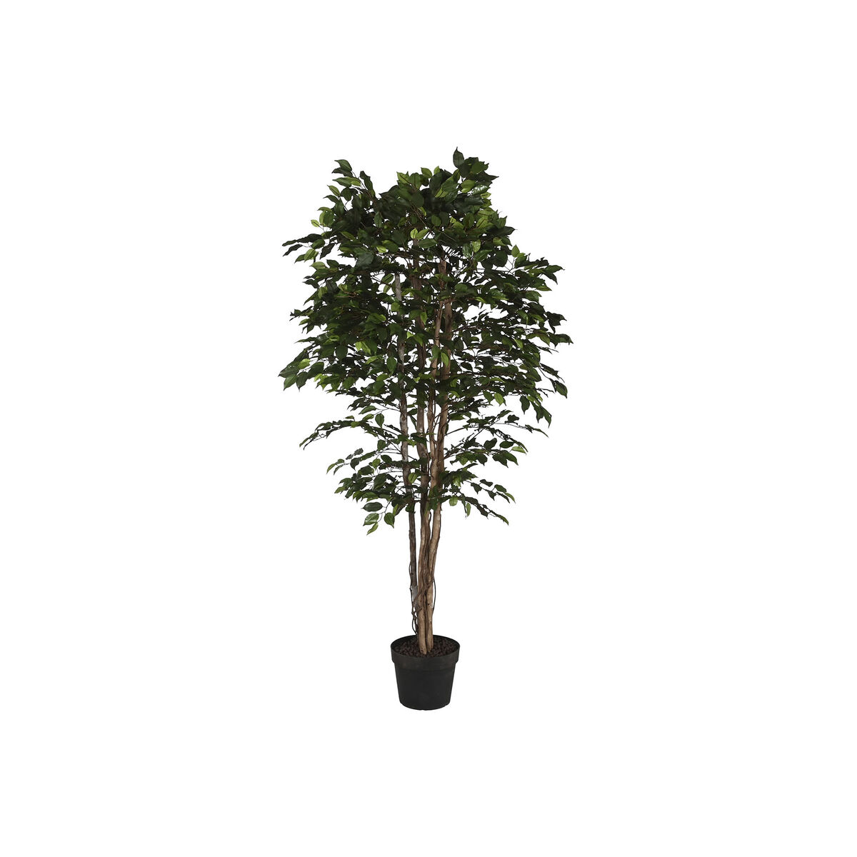 Träd Home ESPRIT Polyetylen Fikon 100 x 100 x 210 cm