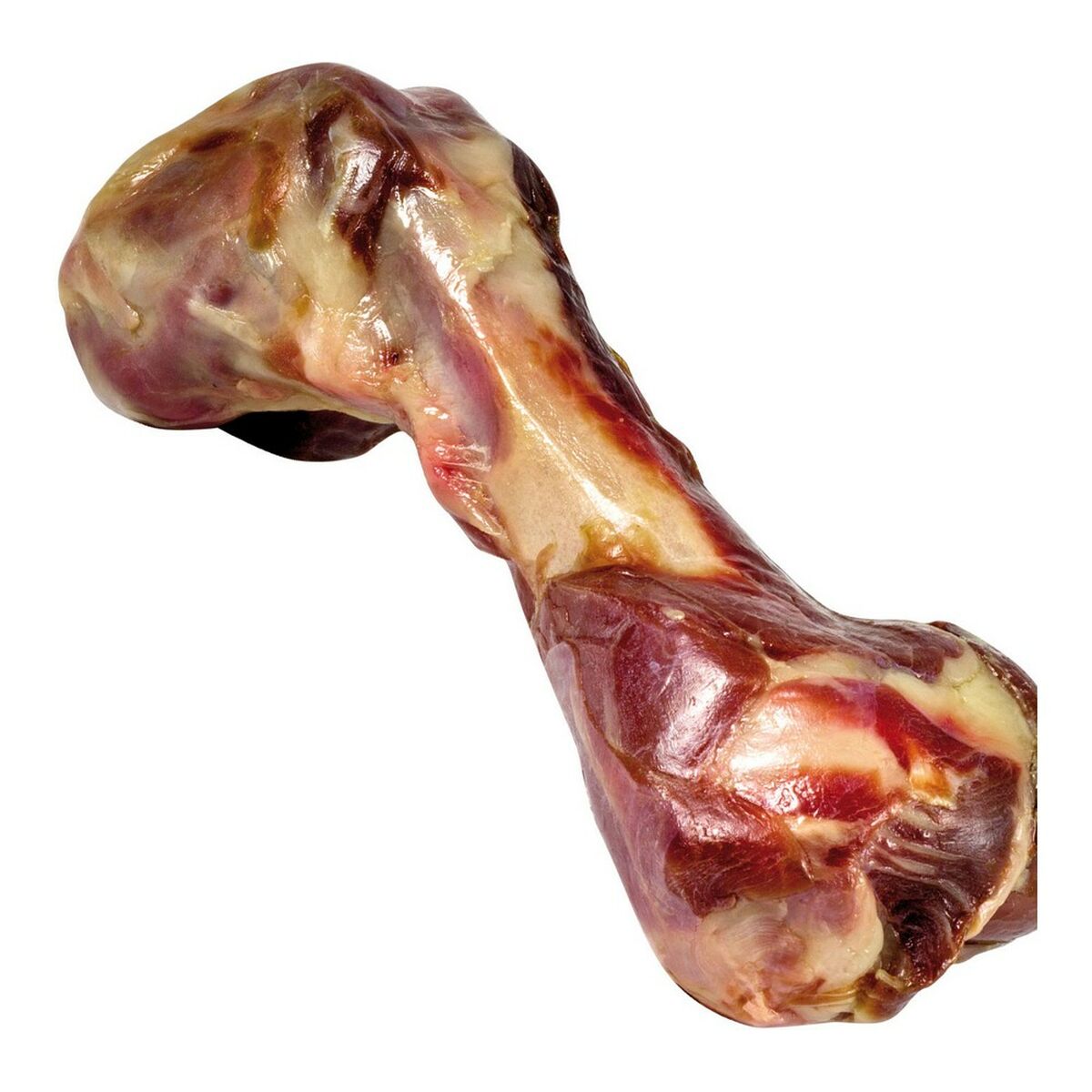 Ben Gloria Skinka Ben - 5