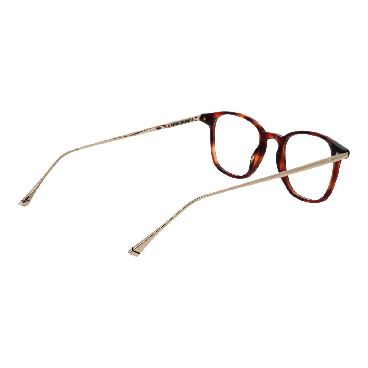 Glasögonbågar Taylor Morris W9 48C2 - 3