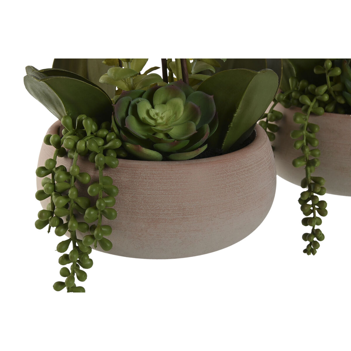Dekorativ växt Home ESPRIT Polyetylen Pappersmassa 40 X 35 X 52 cm (2 antal) - 4