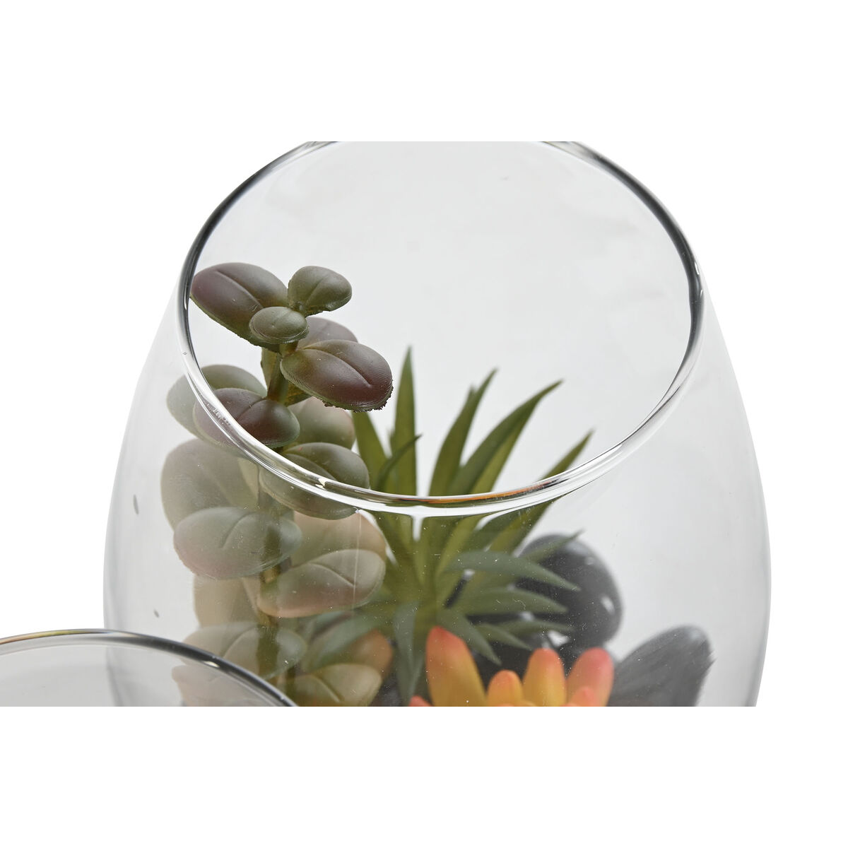 Dekorativ växt Home ESPRIT PVC Glas 10 x 10 x 15 cm (2 antal) - 3