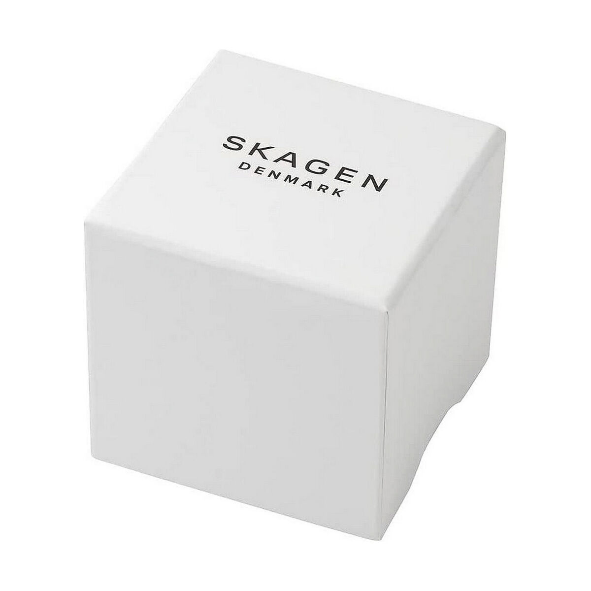Herrklocka Skagen HAGEN (Ø 40 mm) - 6
