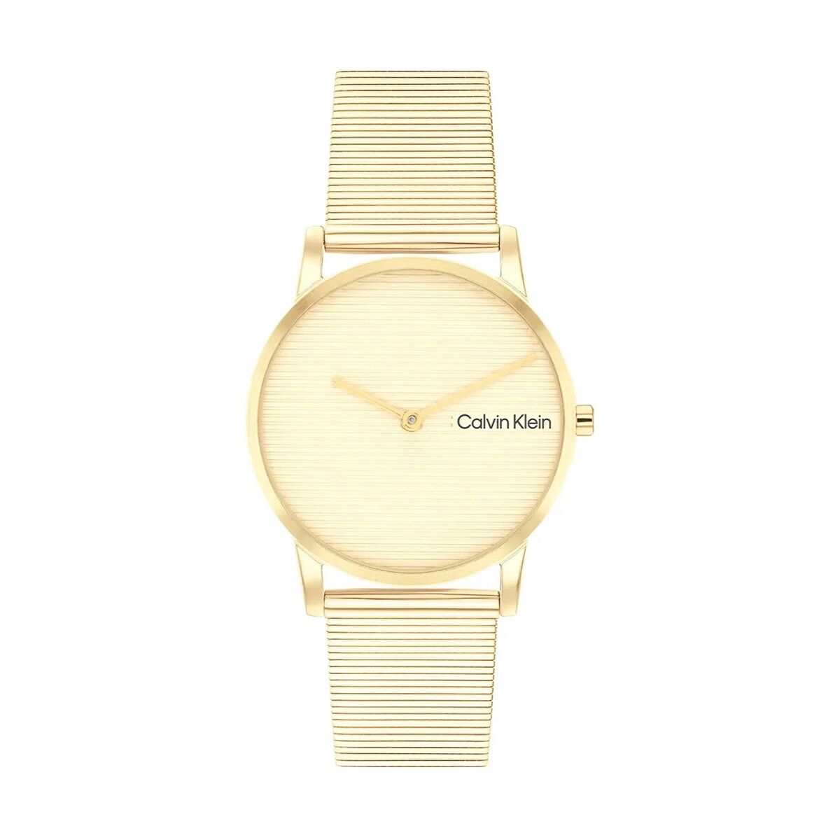 Herrklocka Calvin Klein 25100035