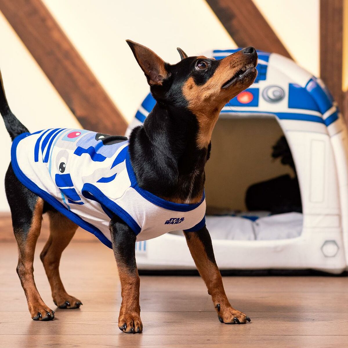 T-shirt för hundar Star Wars R2-D2 Blå 2XS - M - 3