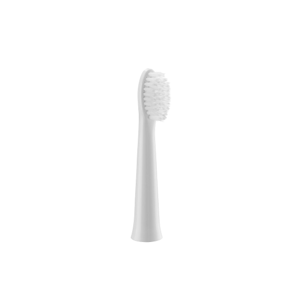 Reservdel till Eltandborste Panasonic WEW0972W503