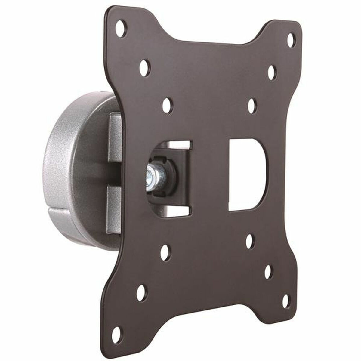 TV-fäste Startech ARMWALL - 3