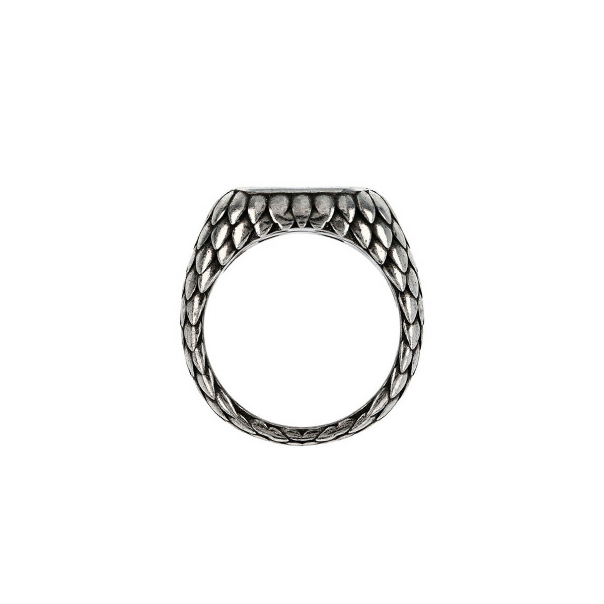 Damring Albert M. WSOX00569.TG-24 - 2