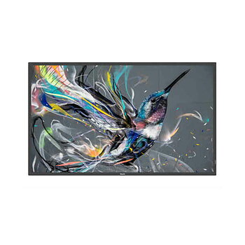 Digital skärm LED Philips 43BDL3550Q/00 42,5" 4K Ultra HD 50-60 Hz 43"