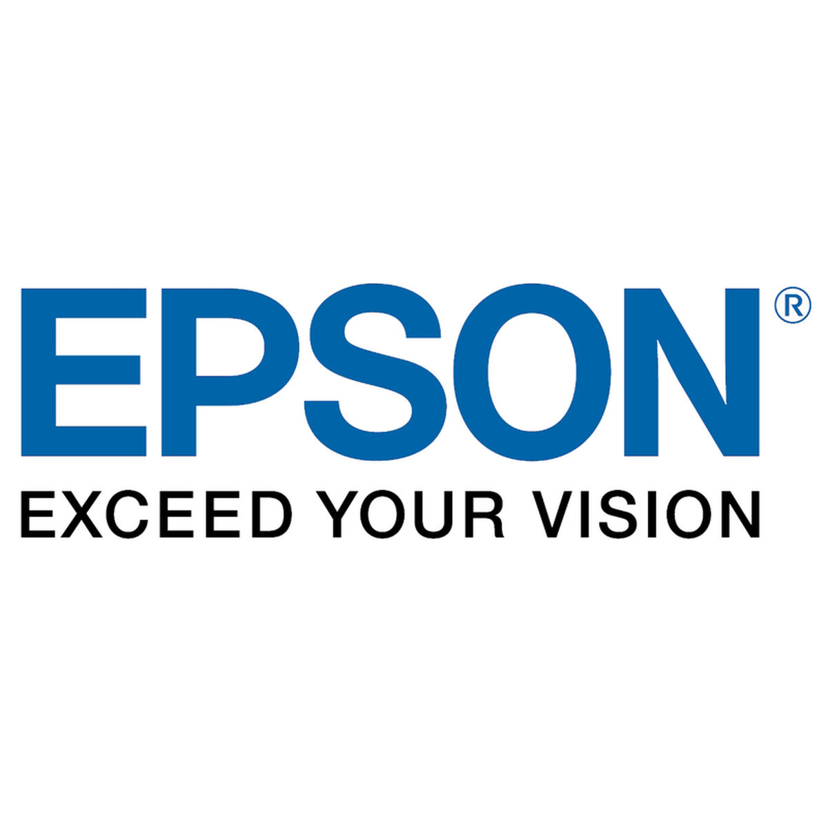 Original Bläckpatron Epson C13T08G300 - 2