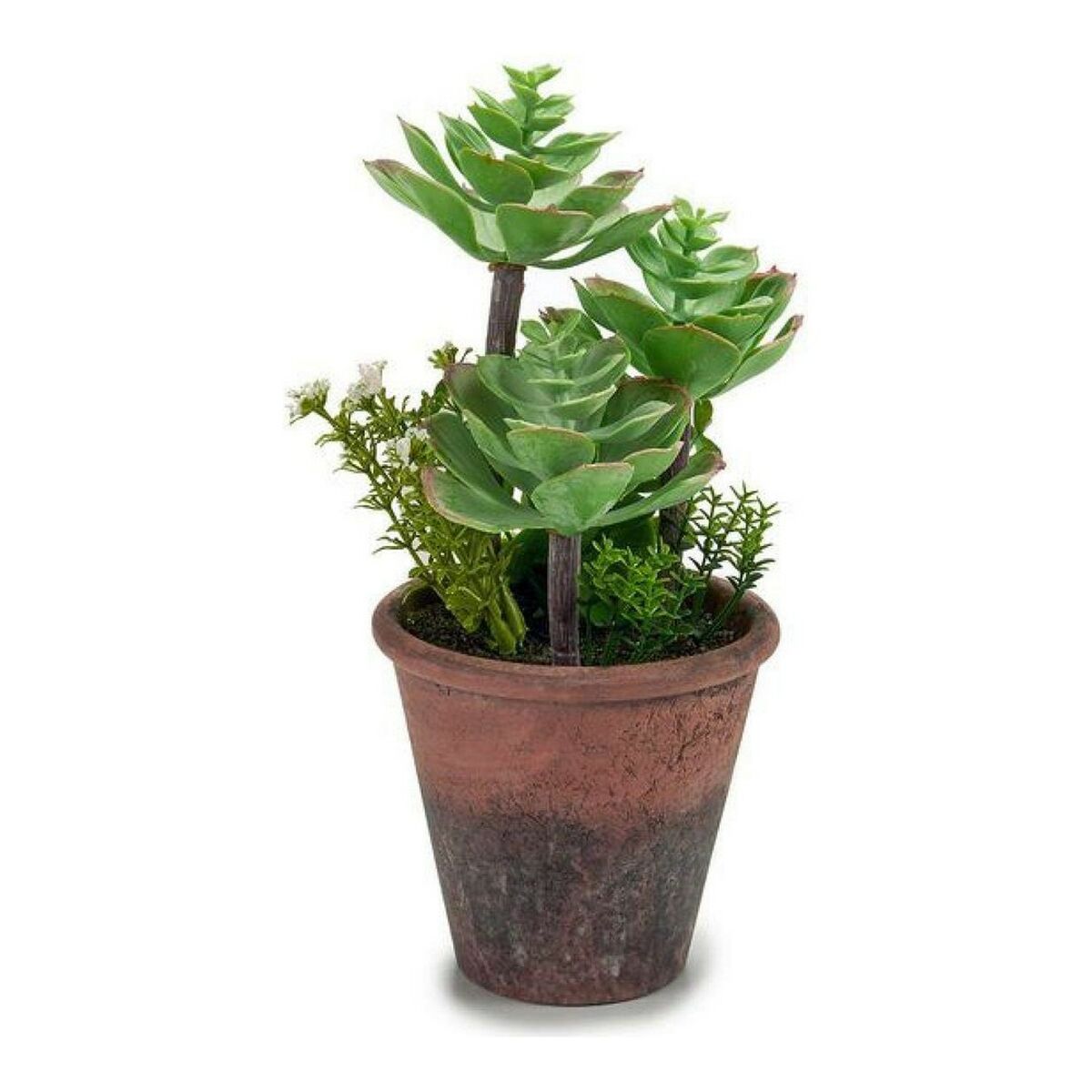 Ibergarden Dekorativ Växt med Plastkruka Brun och Grön 16 x 23 x 16 cm - 3