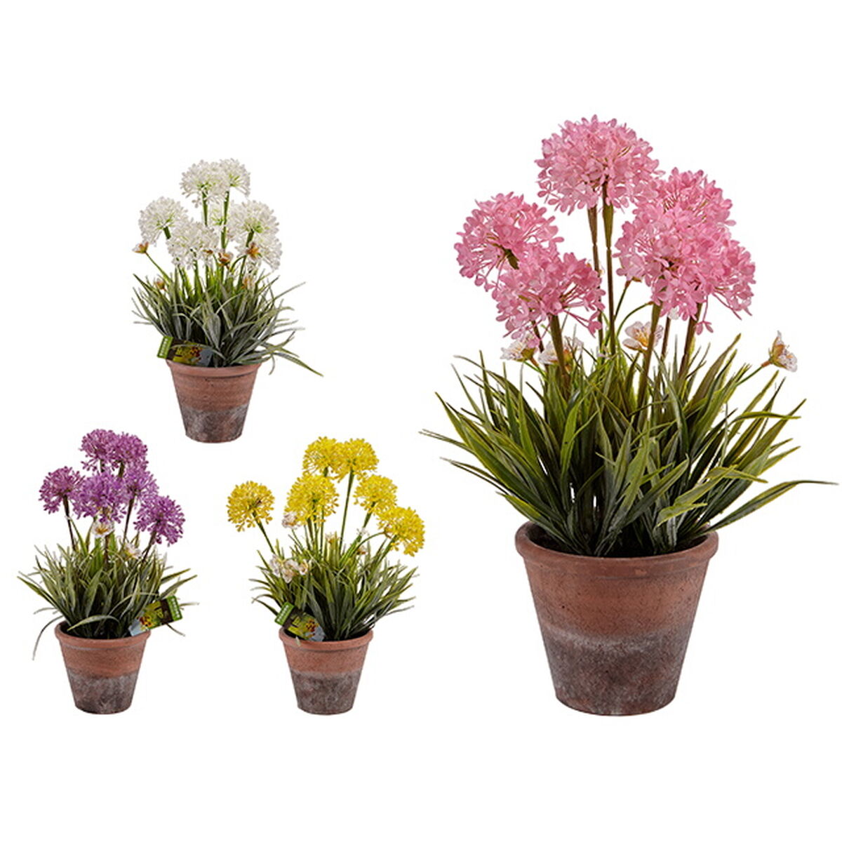 Dekorativ växt Ibergarden 20801 Kork Keramik Plast 24 x 43 x 24 cm (8 antal) - 4