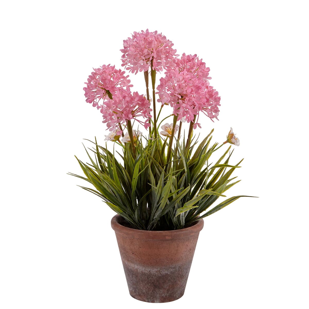Dekorativ växt Ibergarden 20801 Kork Keramik Plast 24 x 43 x 24 cm (8 antal) - 2