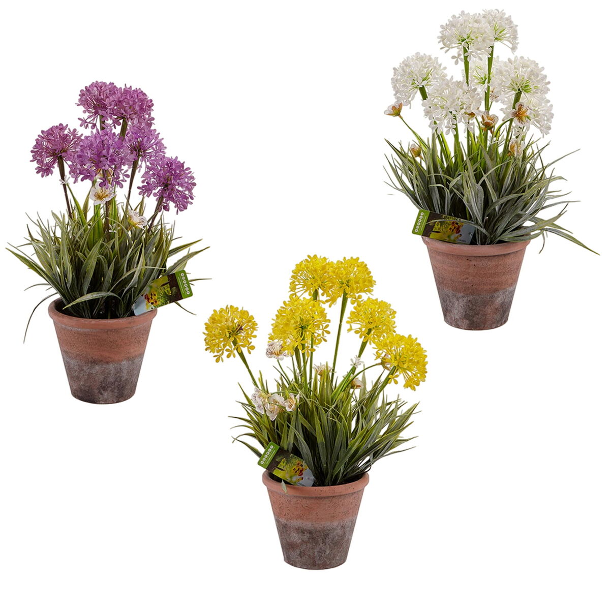 Dekorativ växt Ibergarden 20801 Kork Keramik Plast 24 x 43 x 24 cm (8 antal) - 3