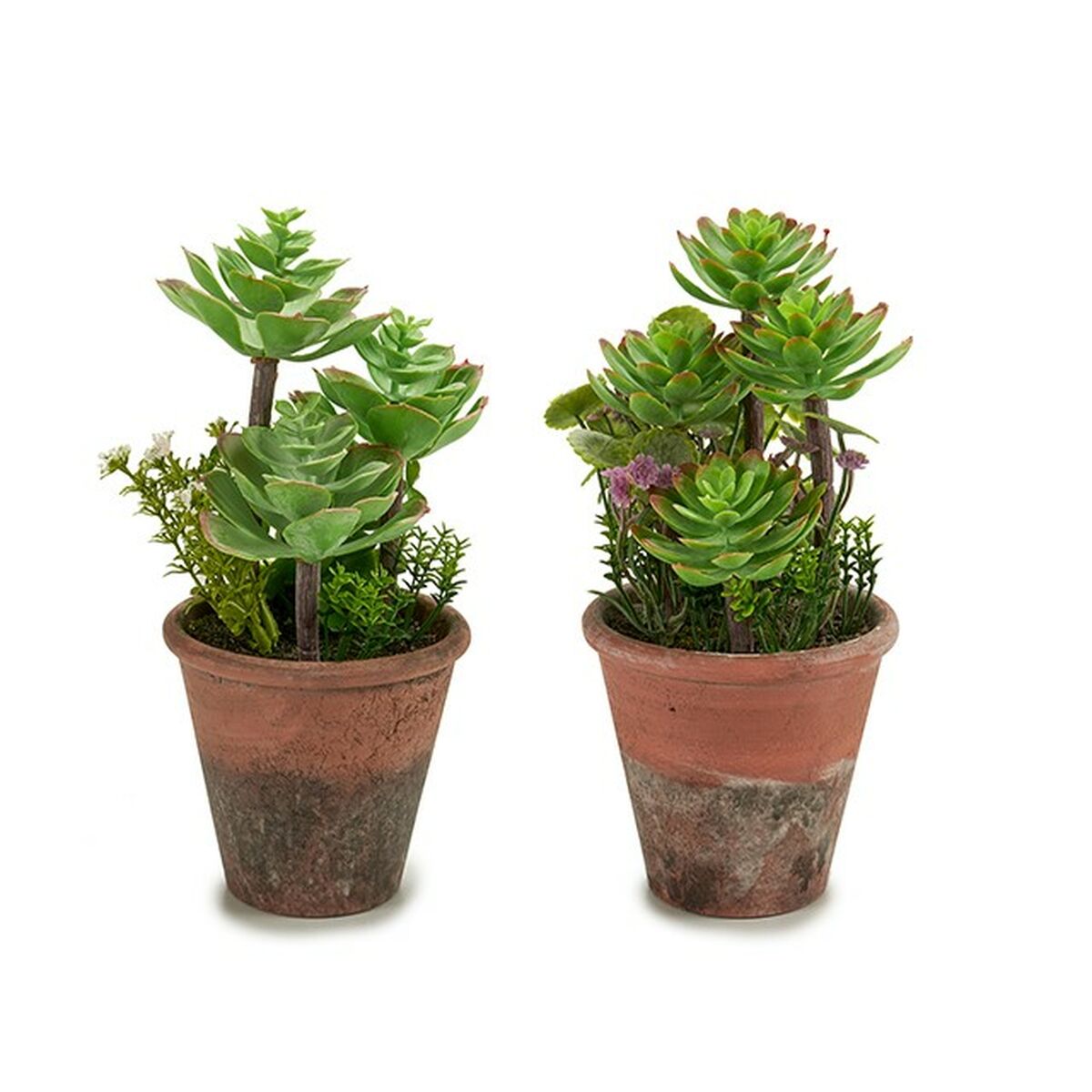 Dekorativ växt Ibergarden Plast Suckulent 16 x 23 x 16 cm (12 antal) - 4