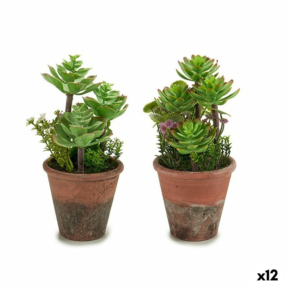 Dekorativ växt Ibergarden Plast Suckulent 16 x 23 x 16 cm (12 antal)