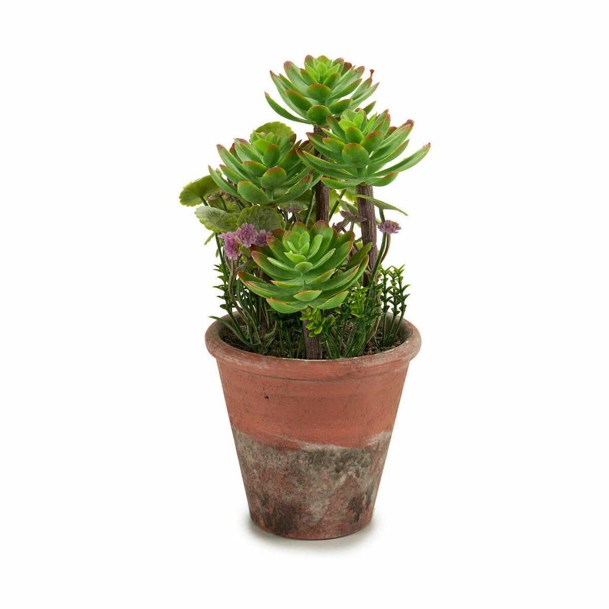 Dekorativ växt Ibergarden Plast Suckulent 16 x 23 x 16 cm (12 antal) - 2