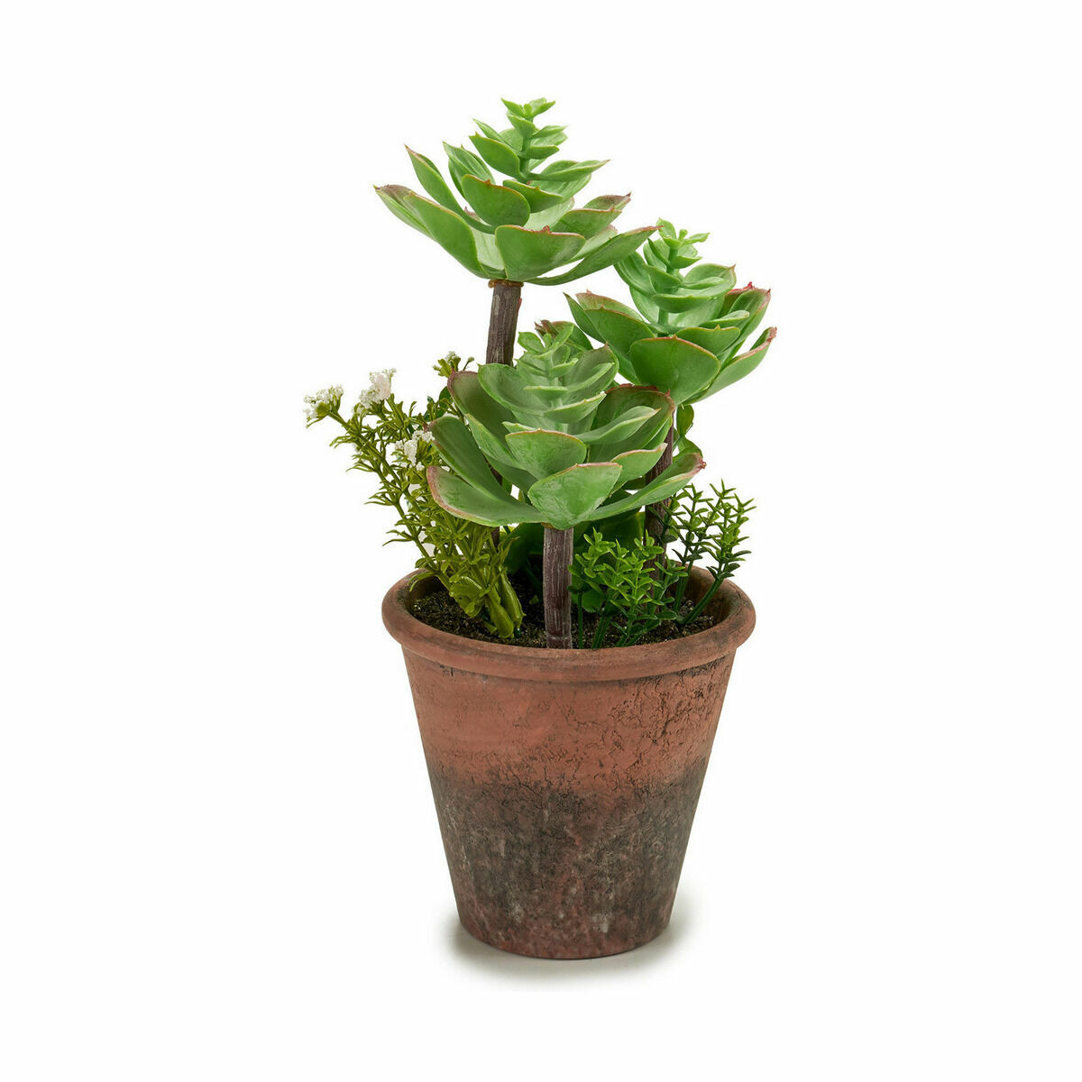 Dekorativ växt Ibergarden Plast Suckulent 16 x 23 x 16 cm (12 antal) - 3