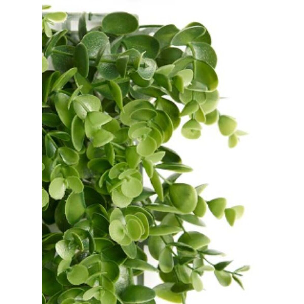 Vertikalt trädgård Ibergarden Plast Blad 50 x 50 cm 50 x 0,07 x 50 cm - 2