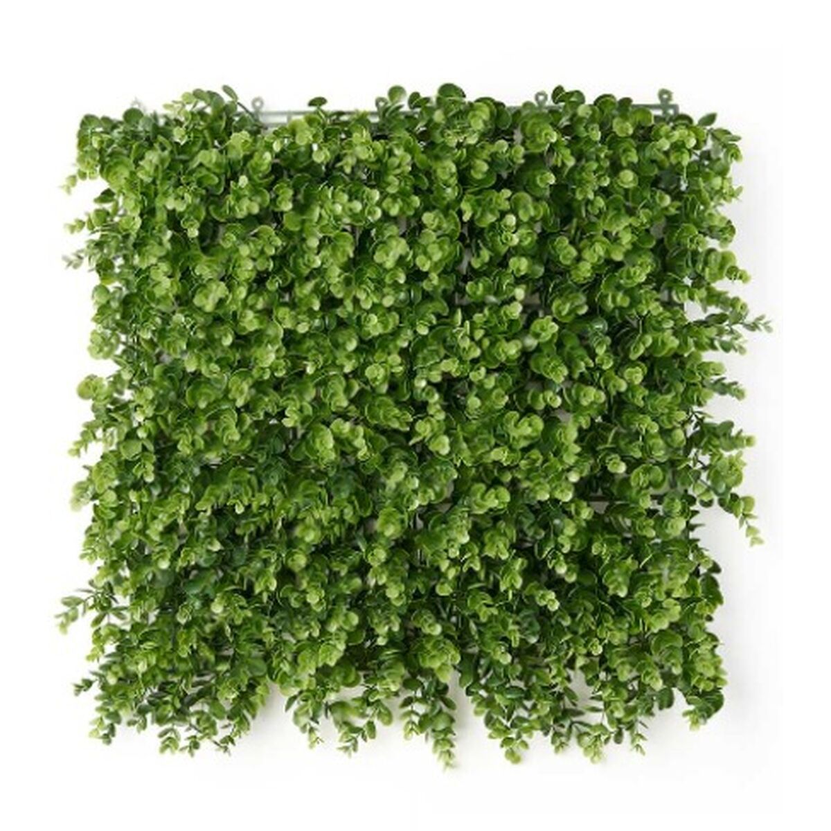 Vertikalt trädgård Ibergarden Plast Blad 50 x 50 cm 50 x 0,07 x 50 cm