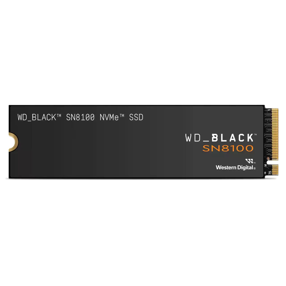 Hårddisk Western Digital WDS100T1X0M 1 TB SSD