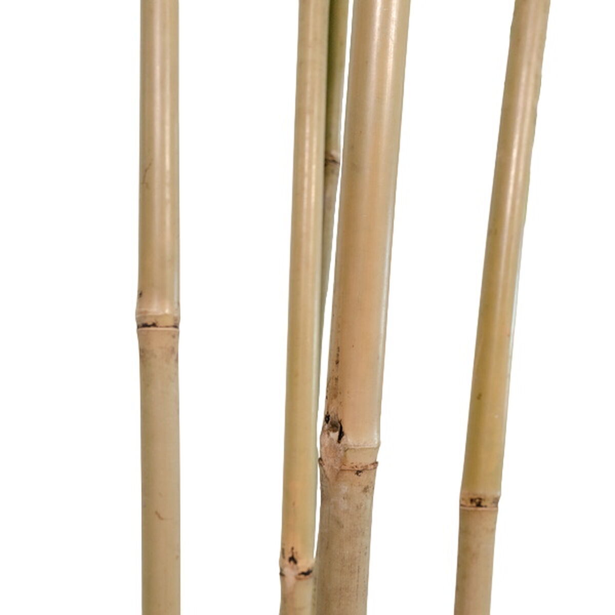 Träd Home ESPRIT Polyester Bambu 80 x 80 x 180 cm - 2