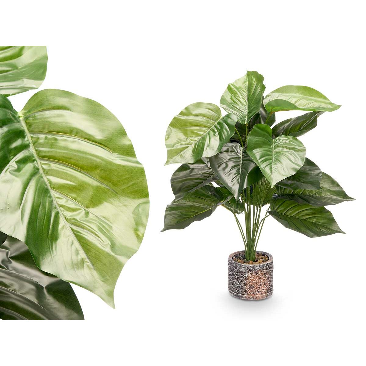 Dekorativ växt Ibergarden 12 Plast Magnesium 42 x 42 x 78 cm (4 antal) - 2