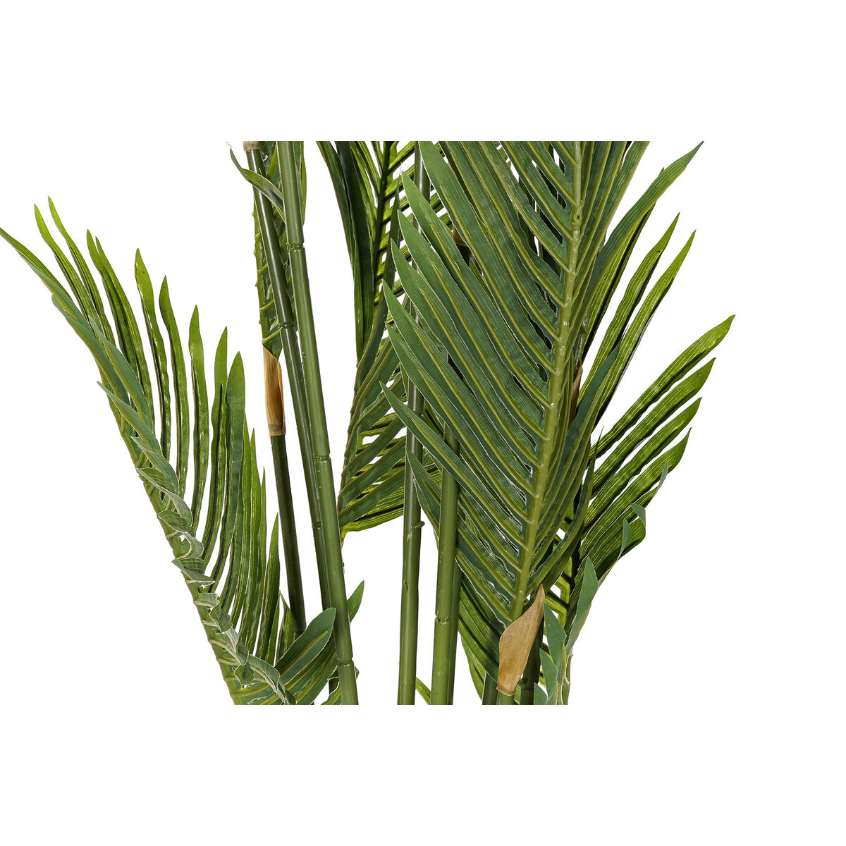 Dekorativ växt DKD Home Decor Palmer Grön PE (50 x 50 x 180 cm) - 2