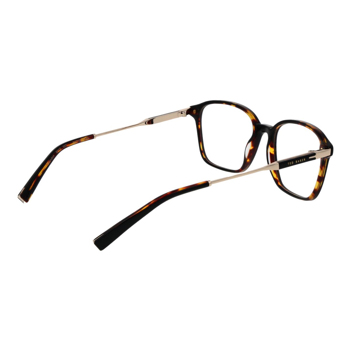 Glasögonbågar Ted Baker TB8317 54107 - 3